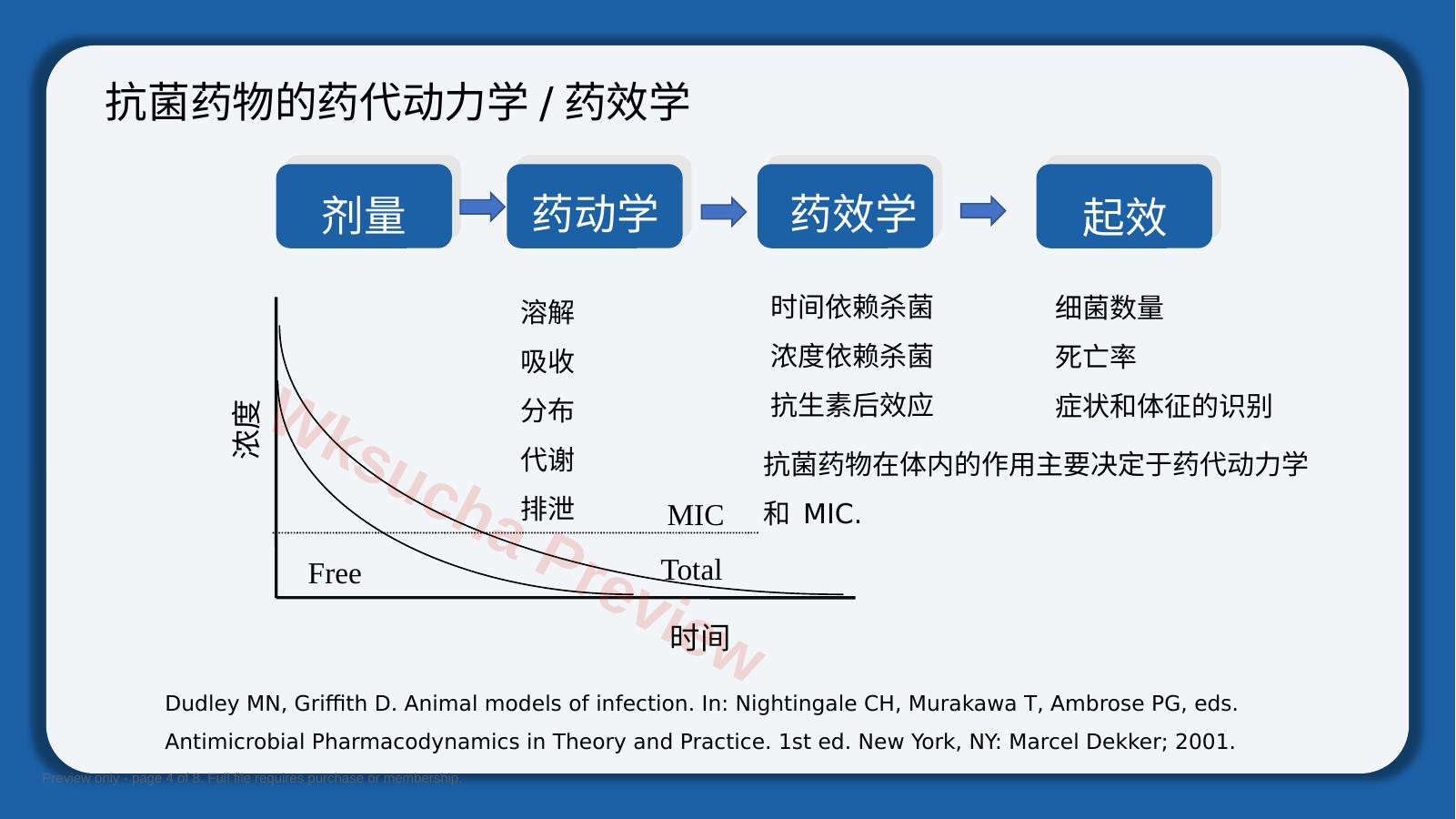 预览第 4 页