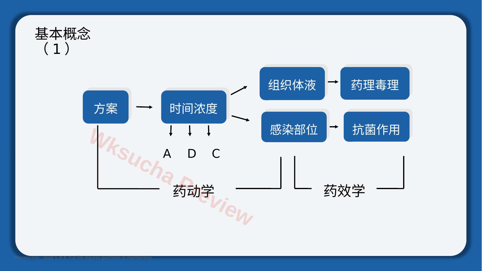 预览第 5 页