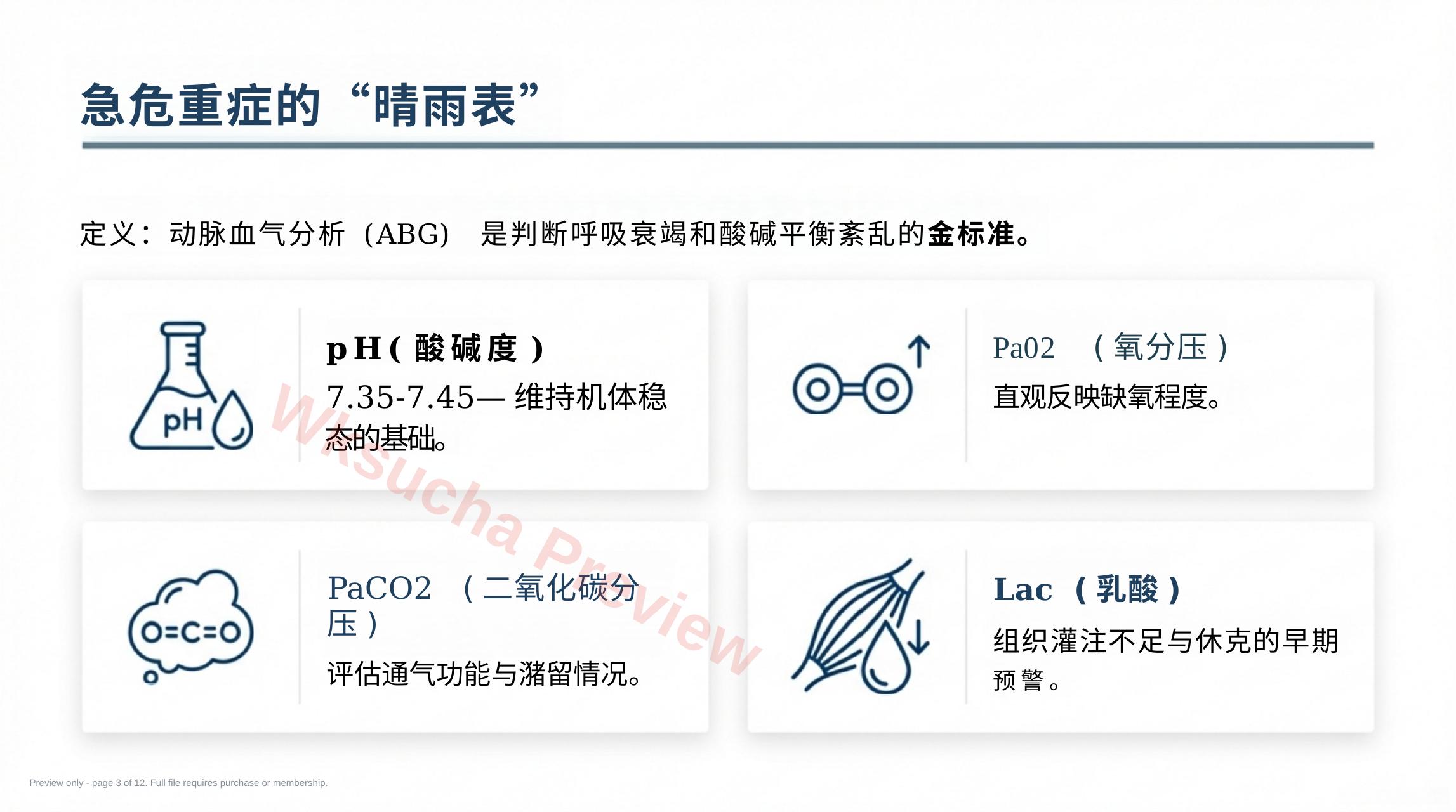 预览第 3 页