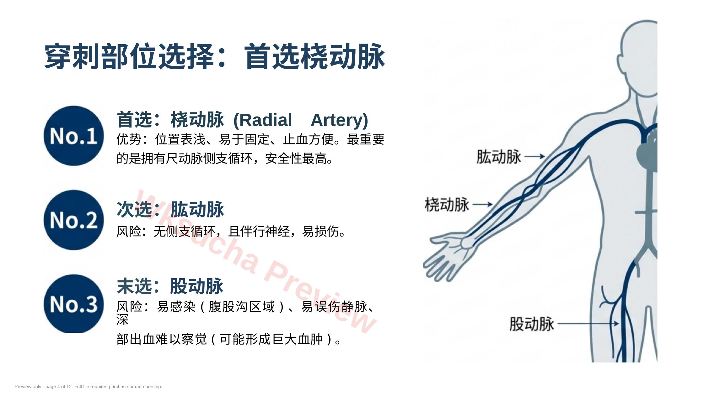 预览第 4 页