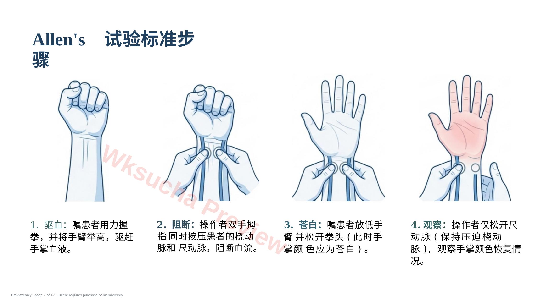 预览第 7 页