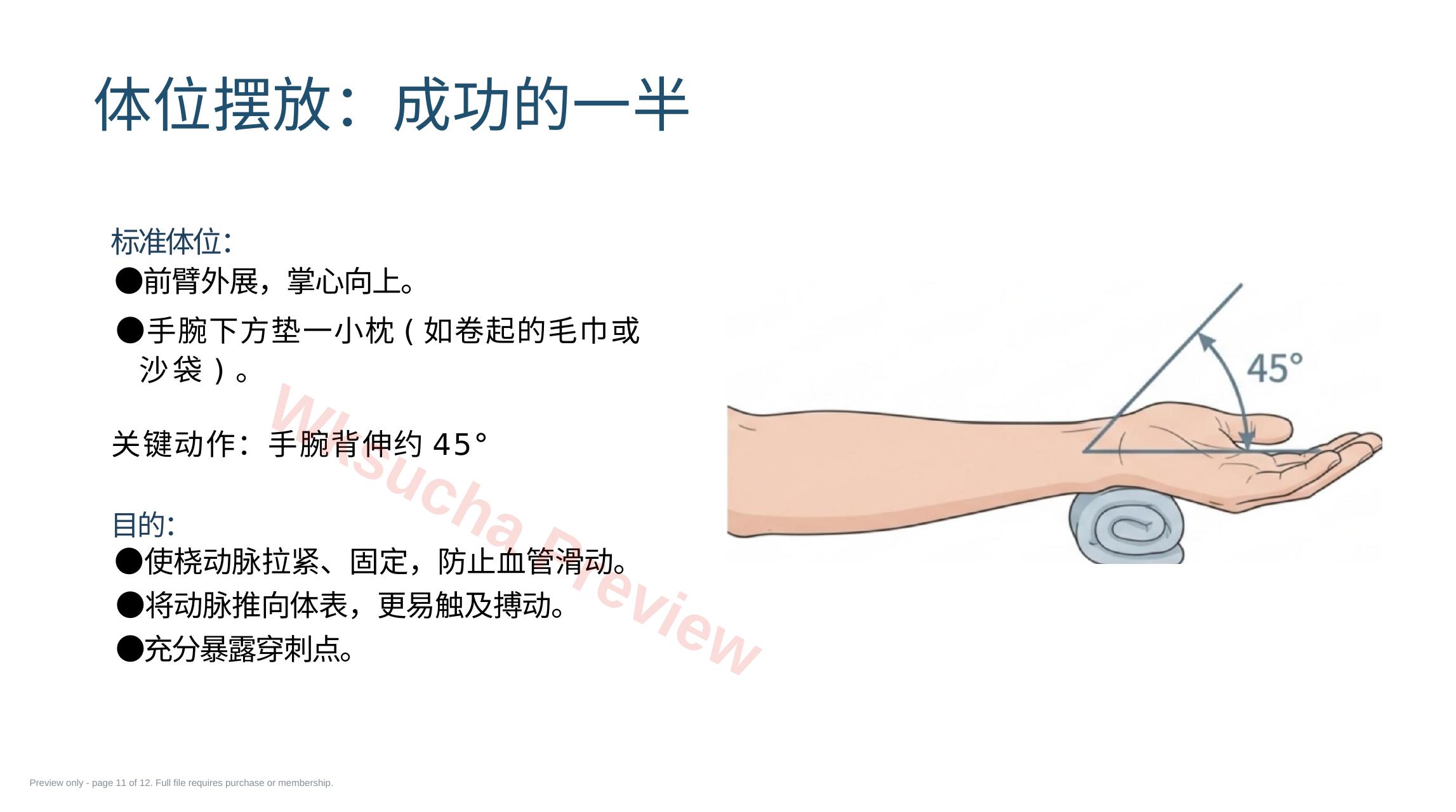 预览第 11 页