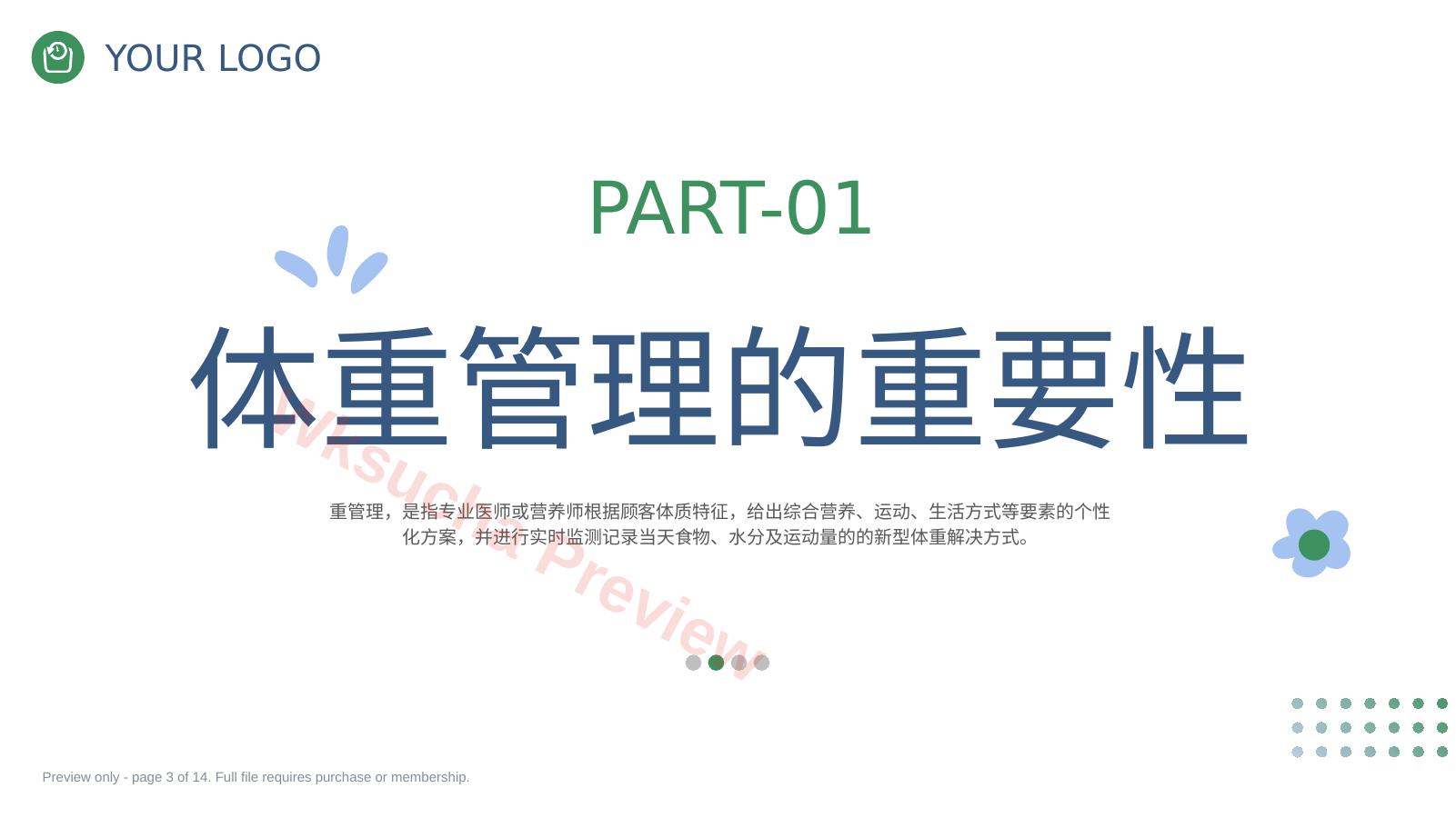 预览第 3 页