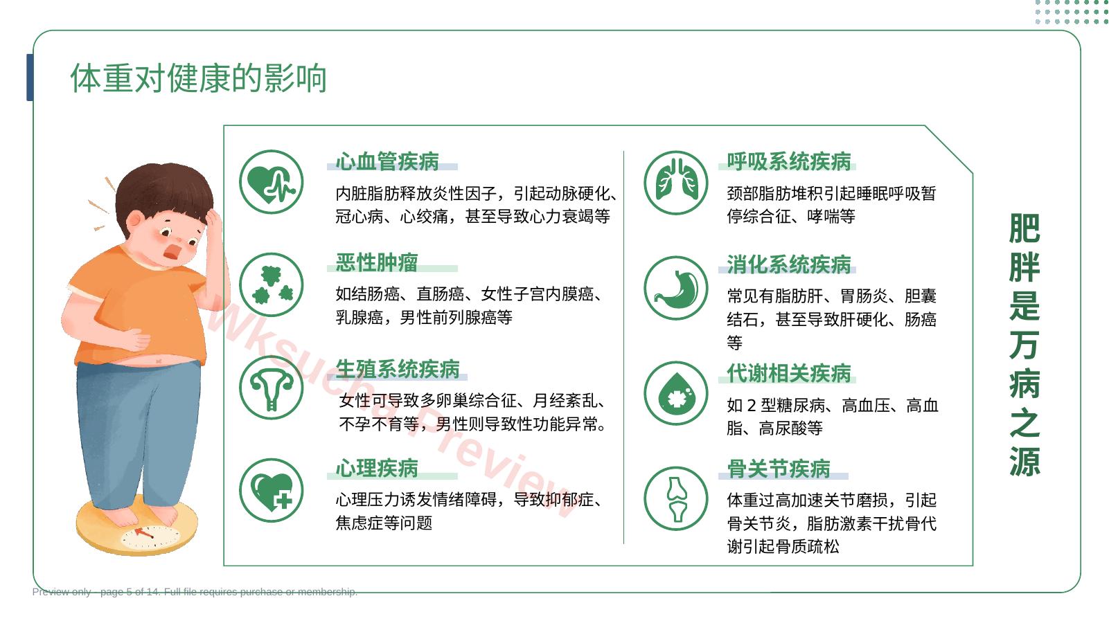 预览第 5 页