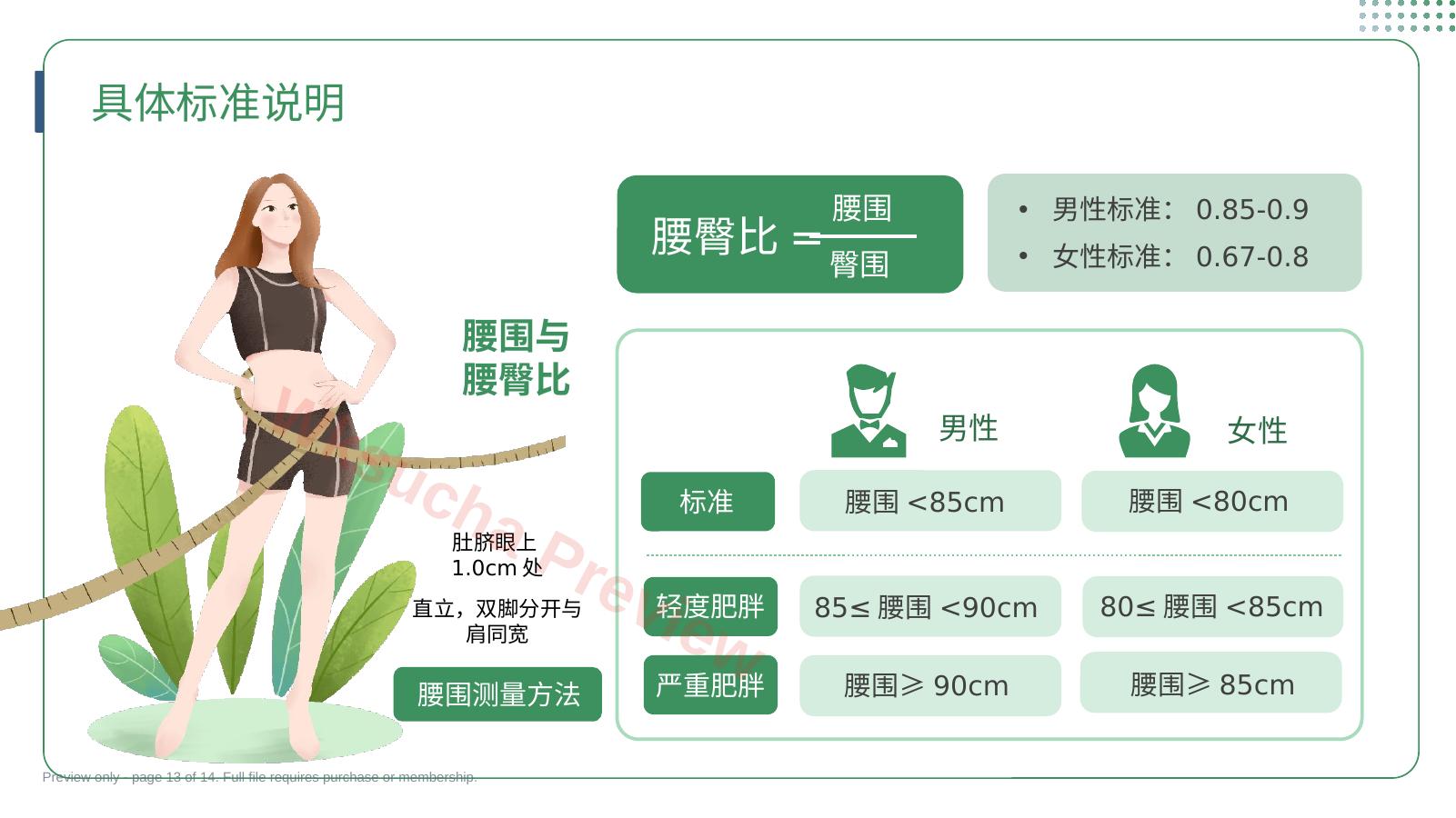 预览第 13 页