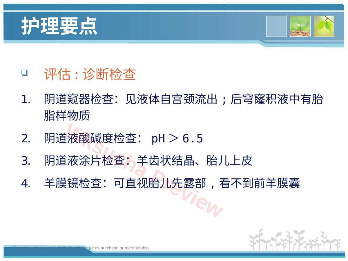 预览第 6 页