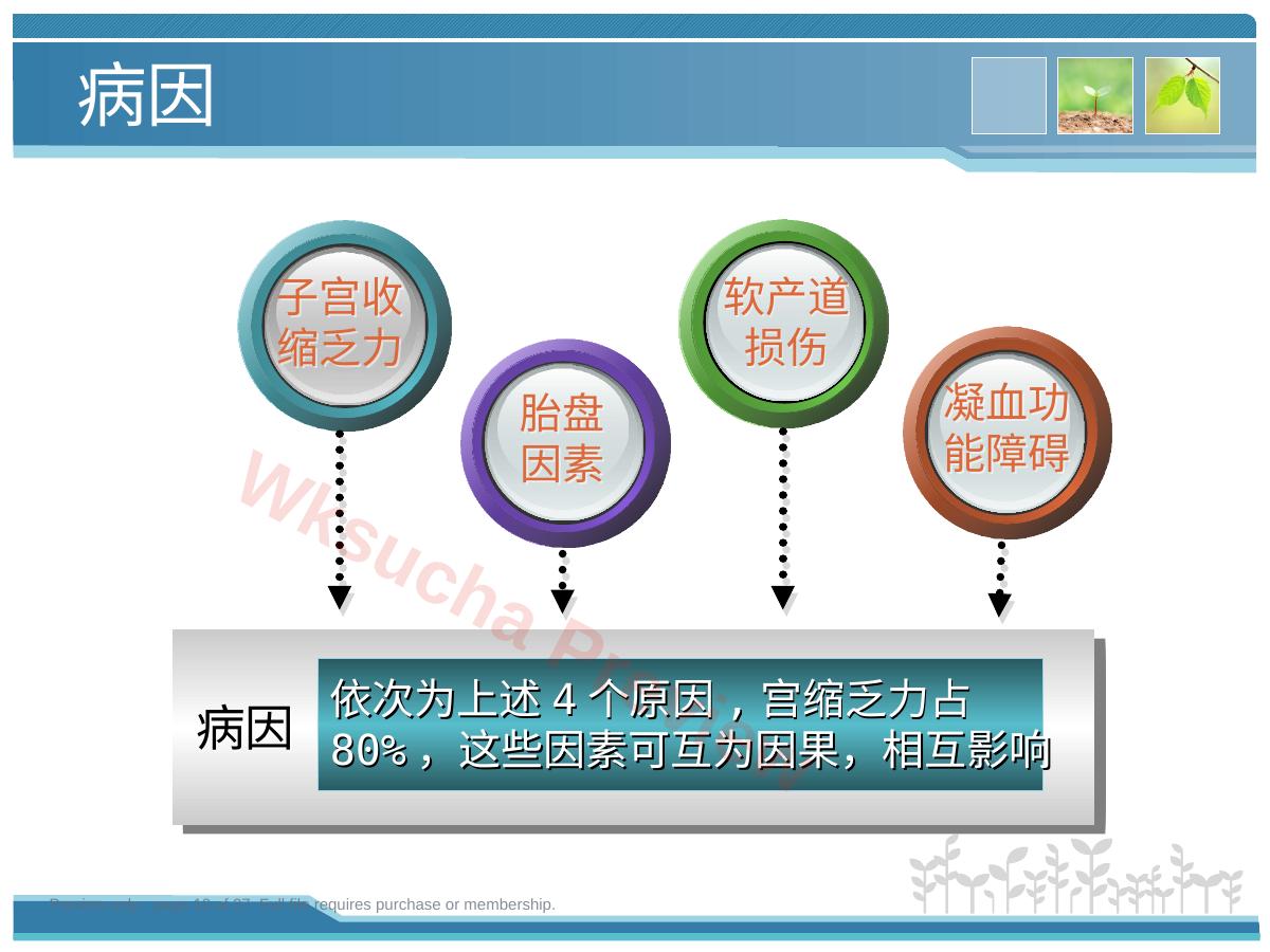 预览第 10 页