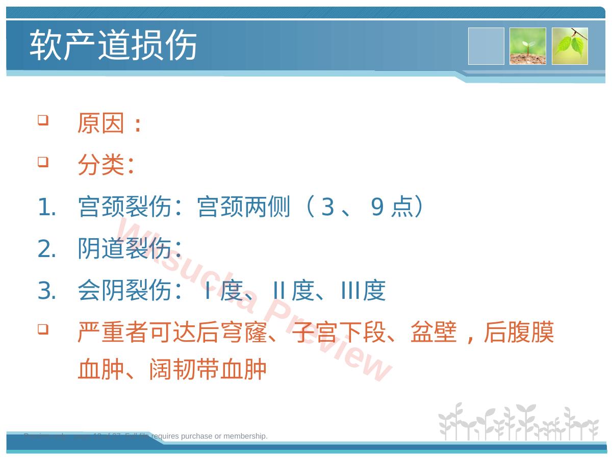 预览第 13 页