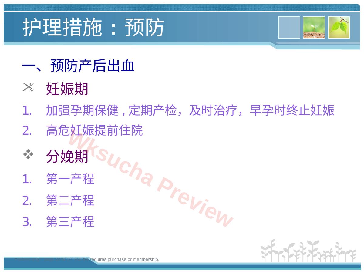 预览第 24 页