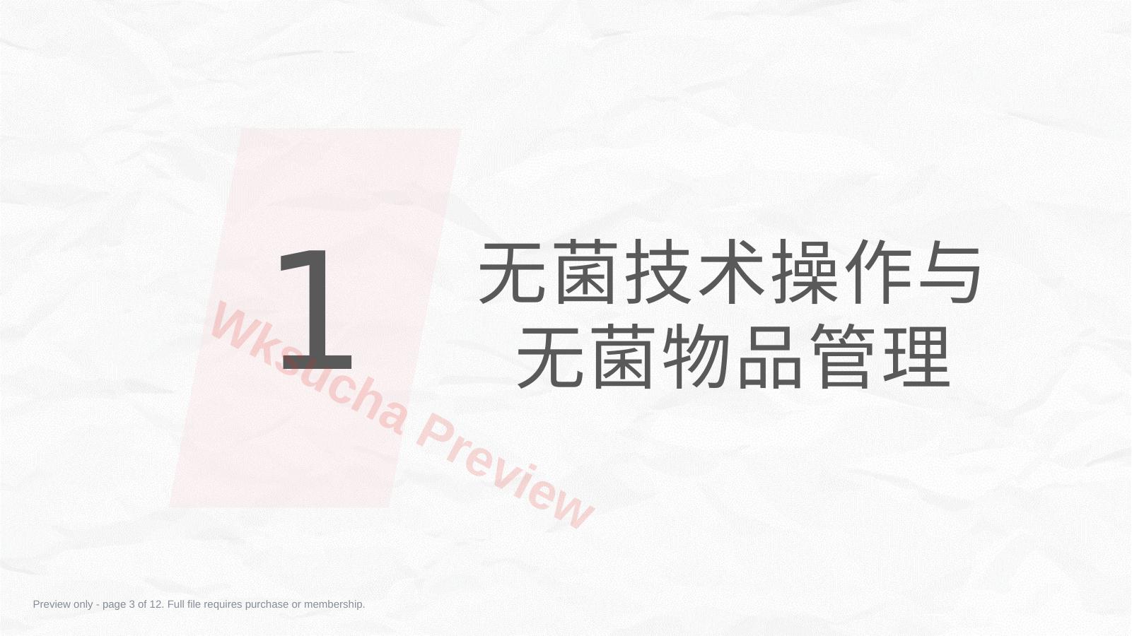 预览第 3 页