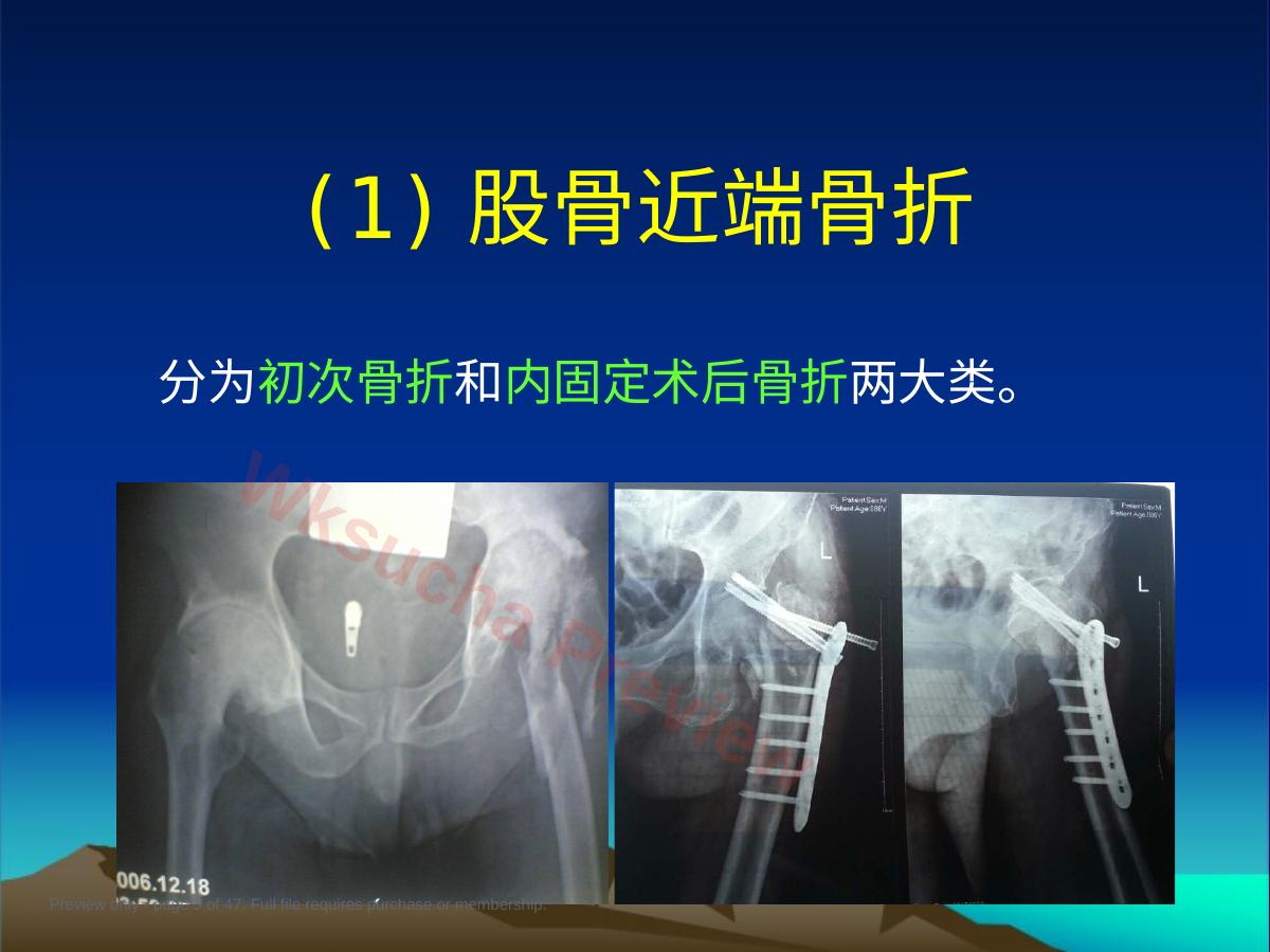 预览第 3 页