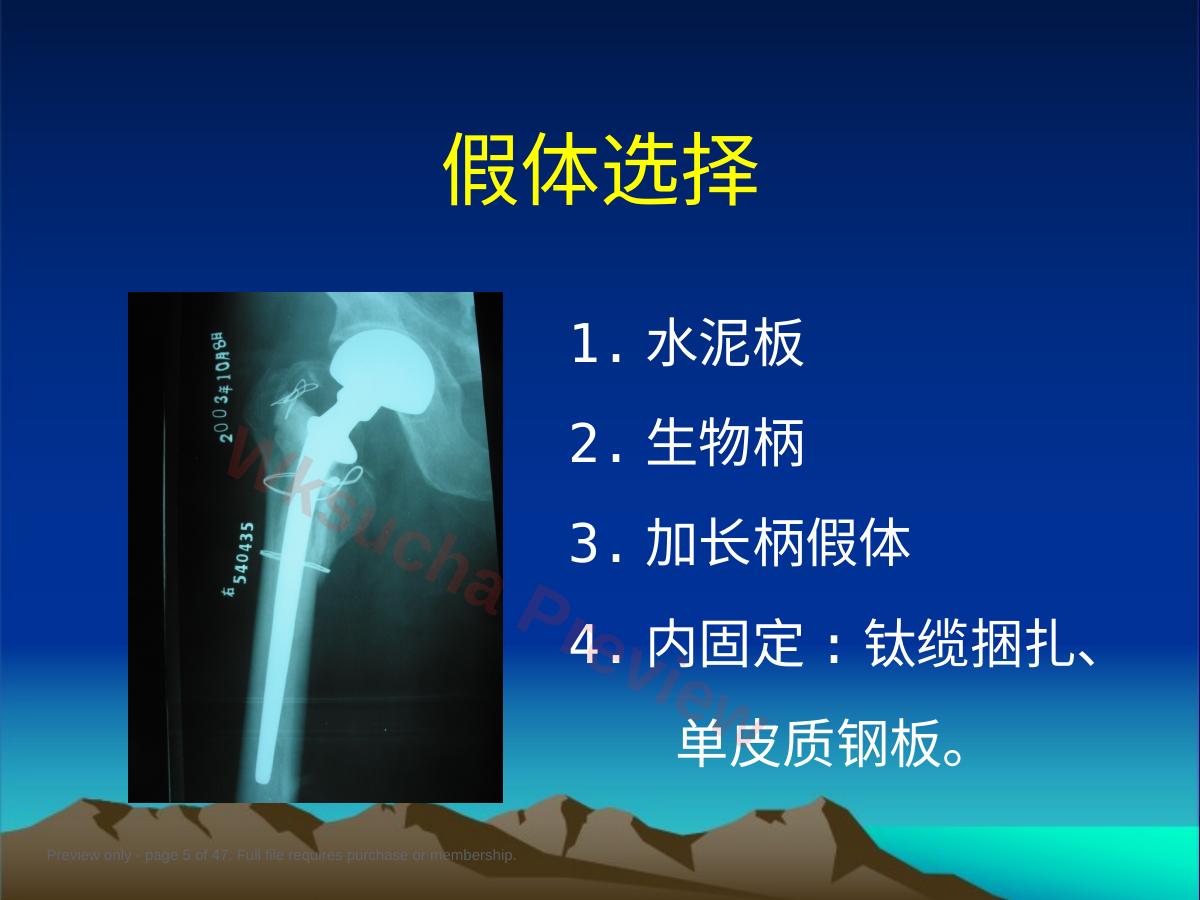 预览第 5 页