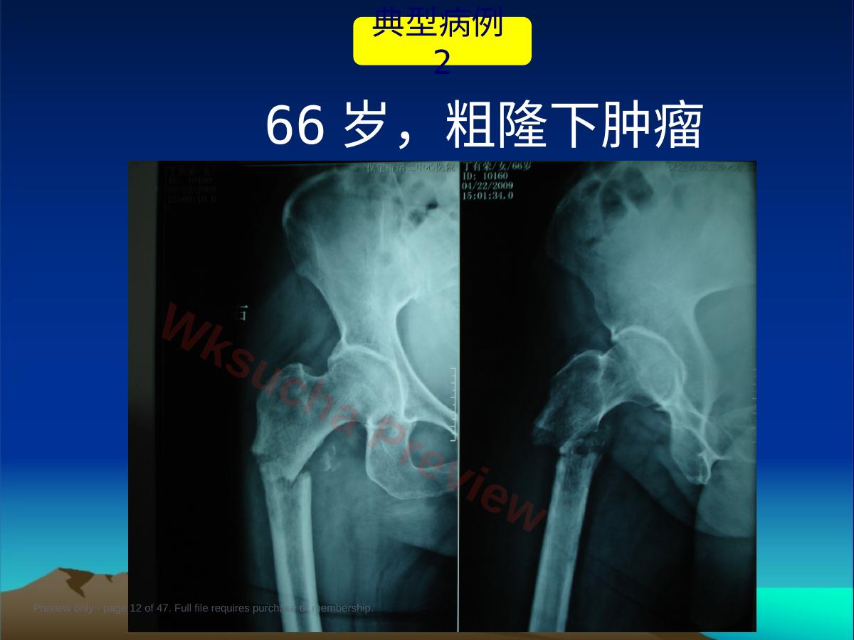预览第 12 页