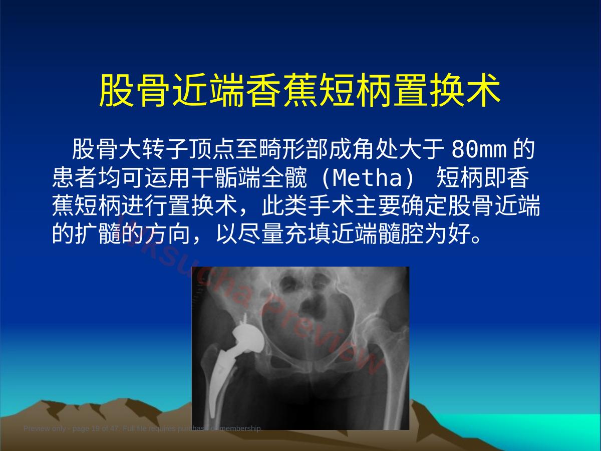 预览第 19 页