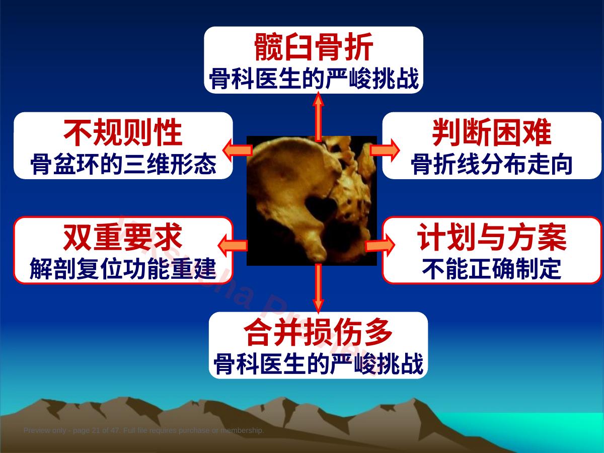 预览第 21 页