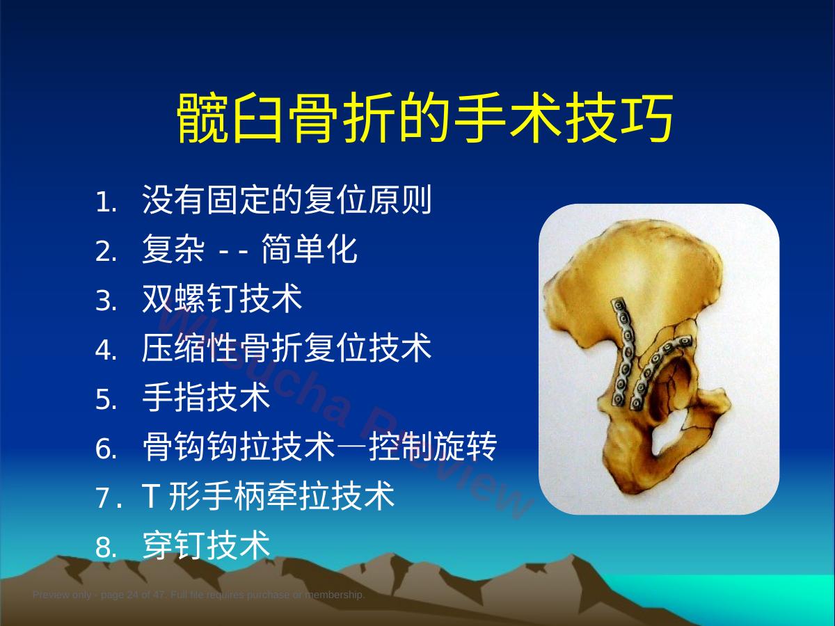 预览第 24 页