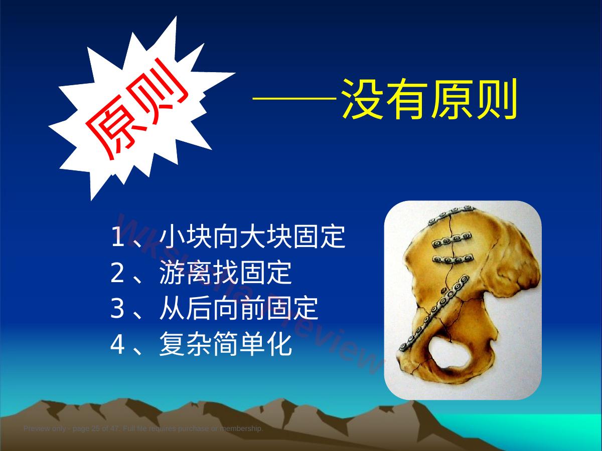 预览第 25 页