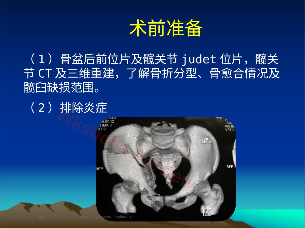 预览第 27 页