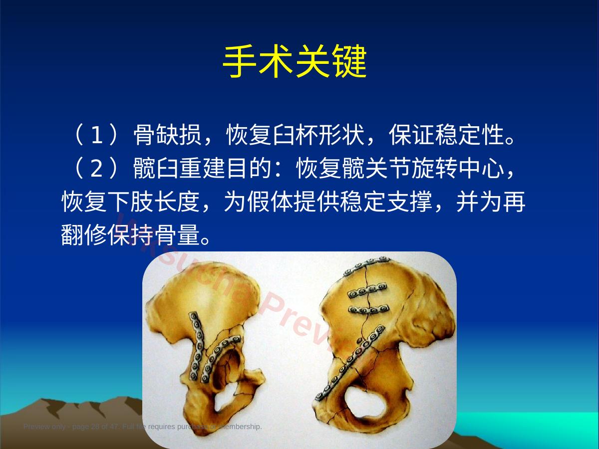预览第 28 页