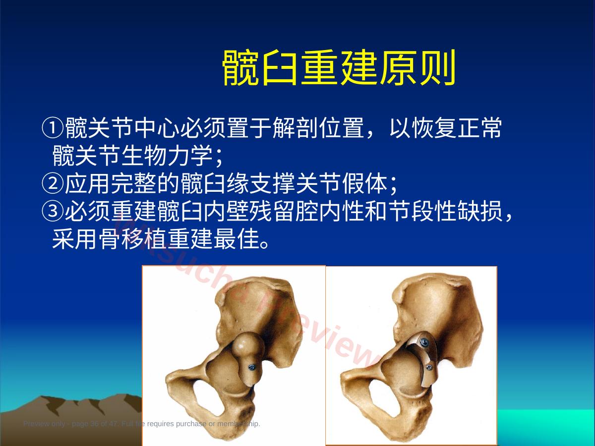 预览第 36 页