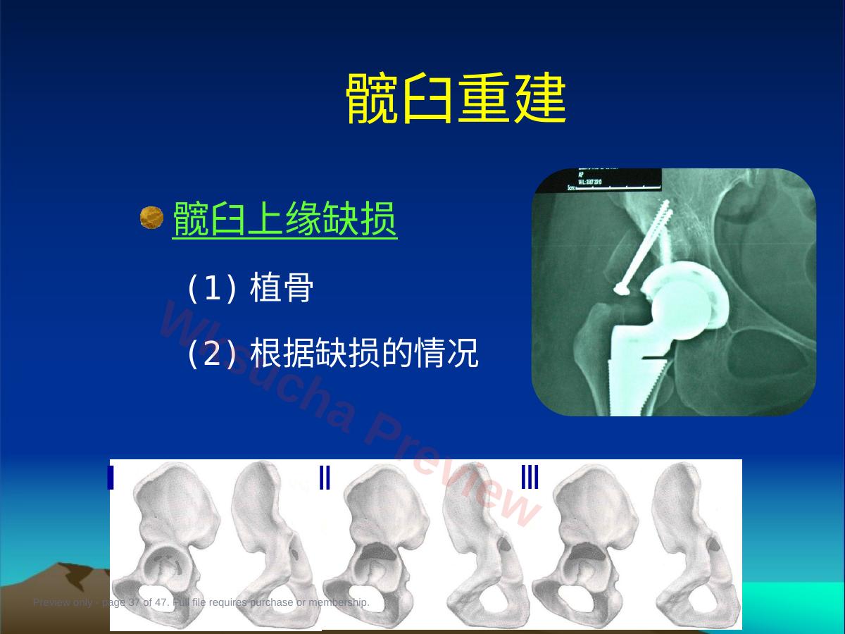 预览第 37 页
