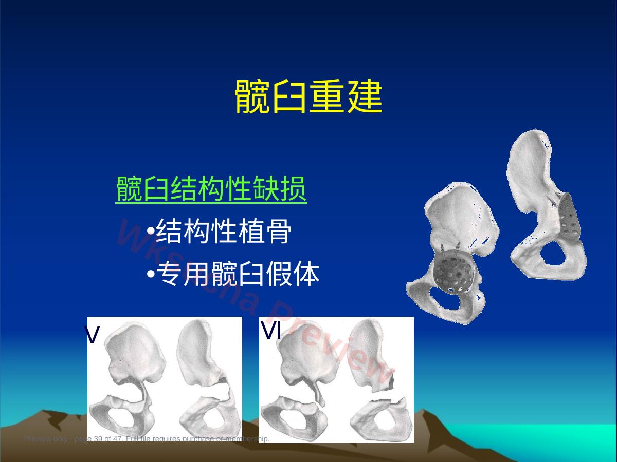 预览第 39 页