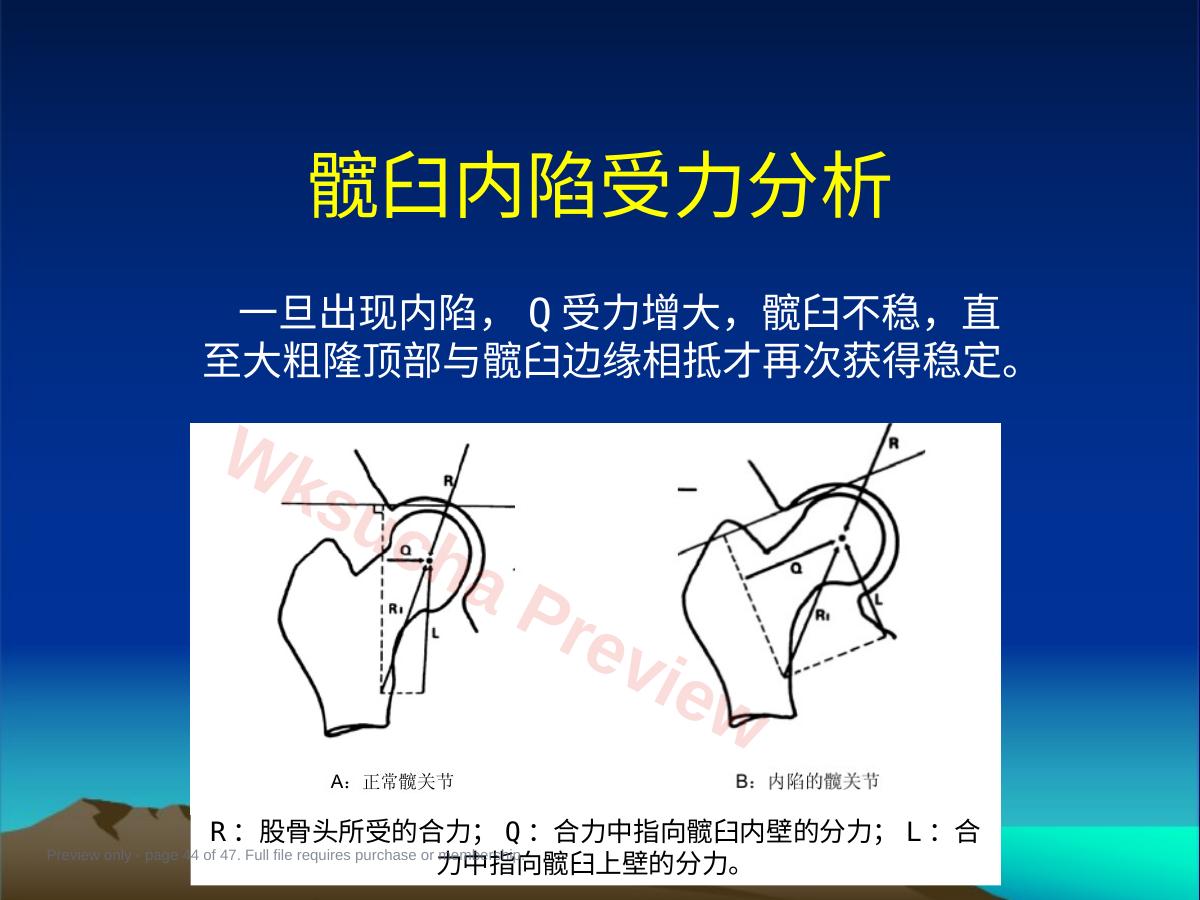 预览第 44 页