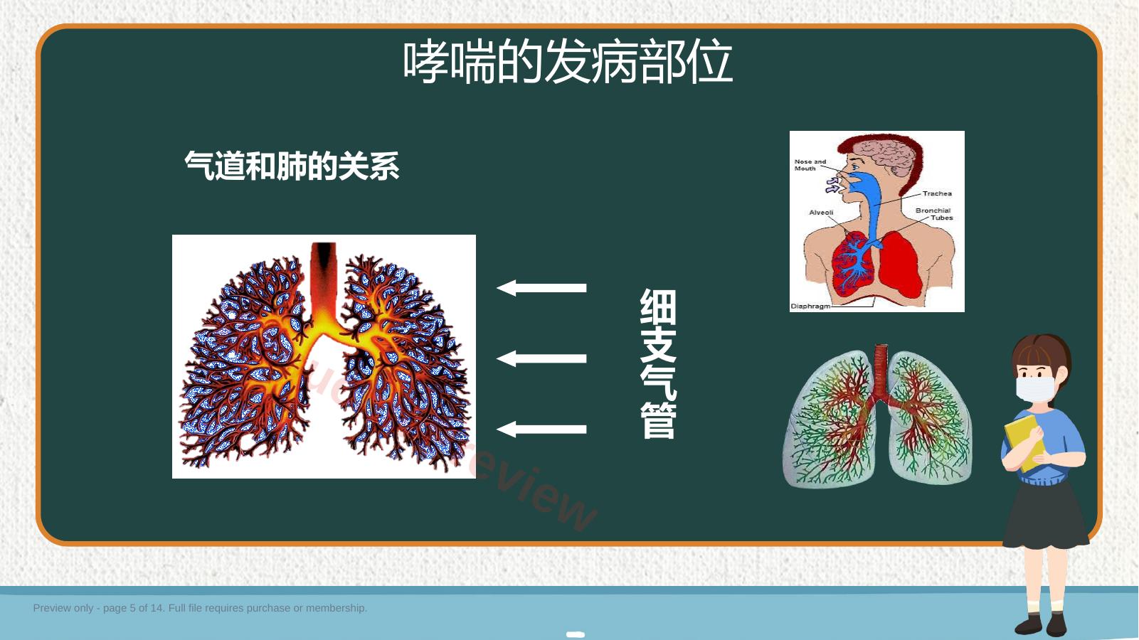 预览第 5 页