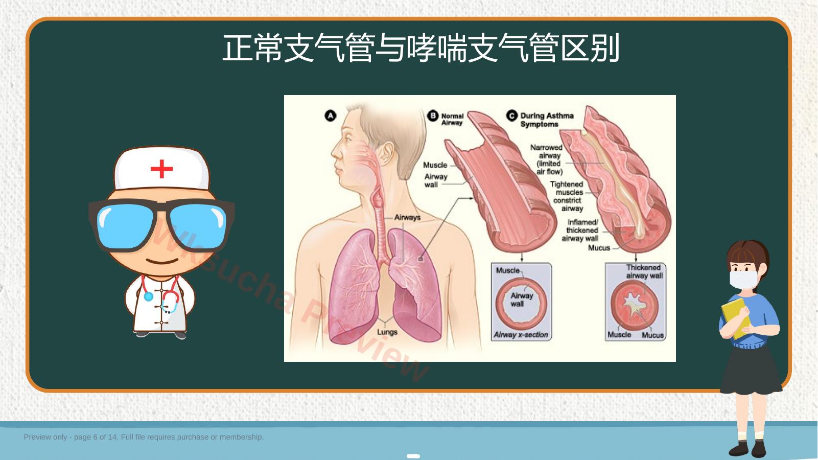 预览第 6 页