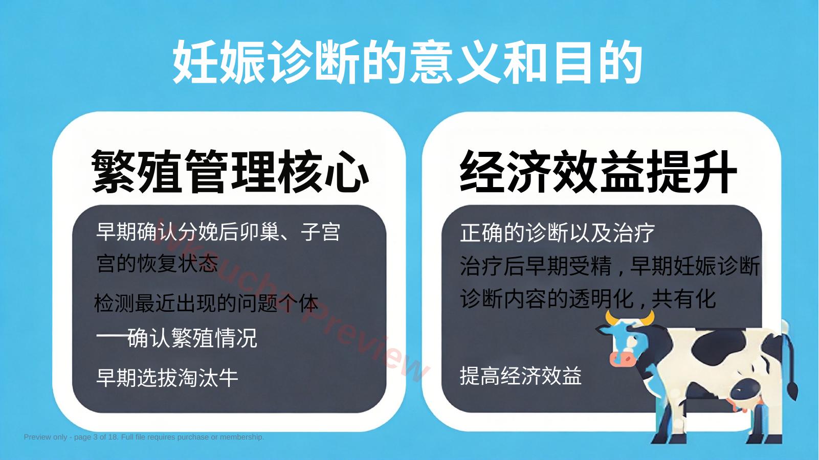 预览第 3 页