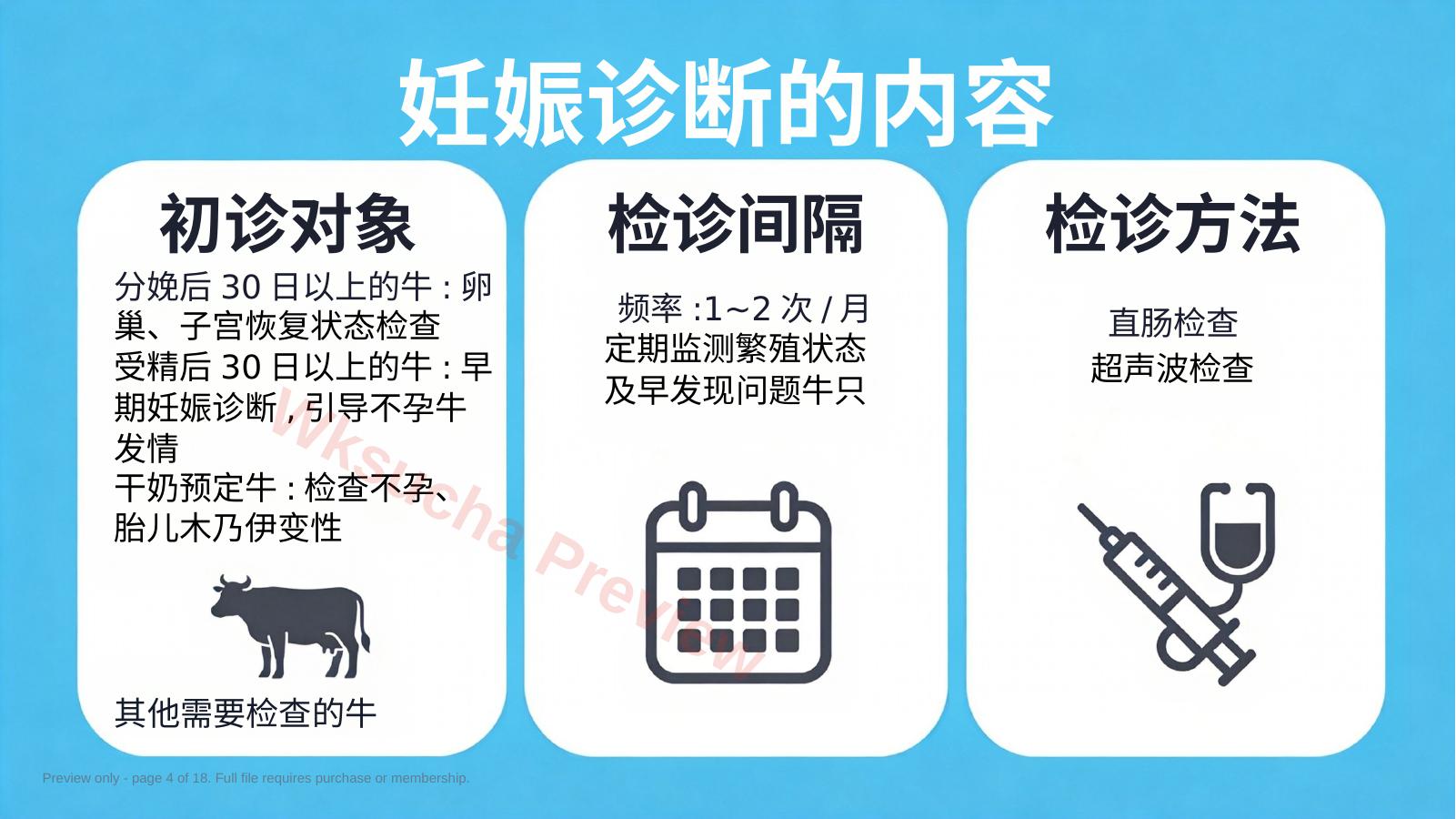 预览第 4 页