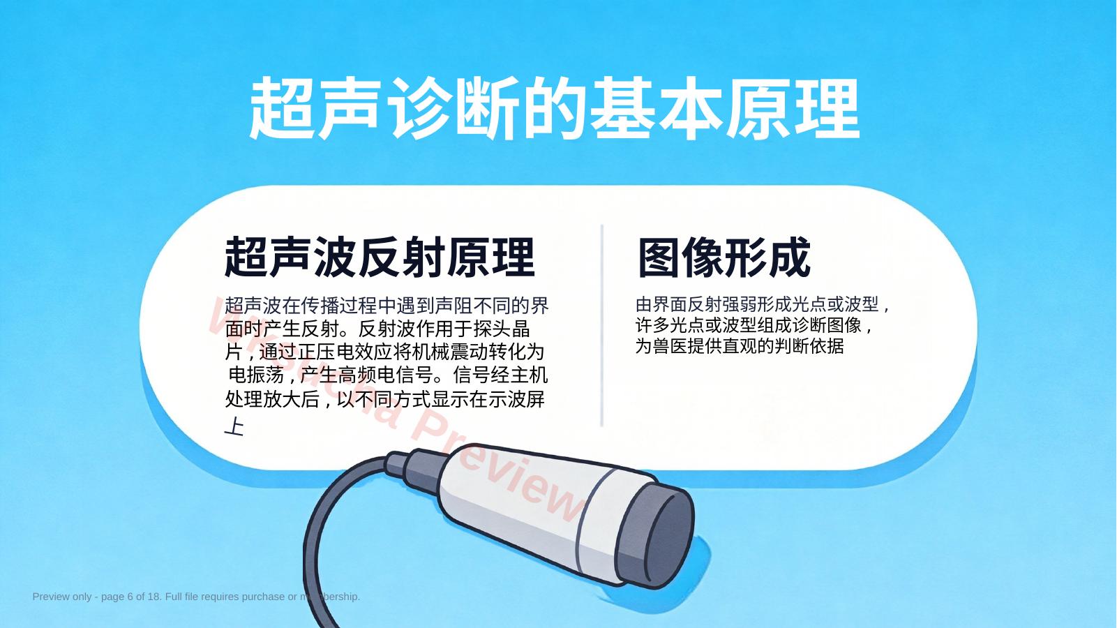 预览第 6 页