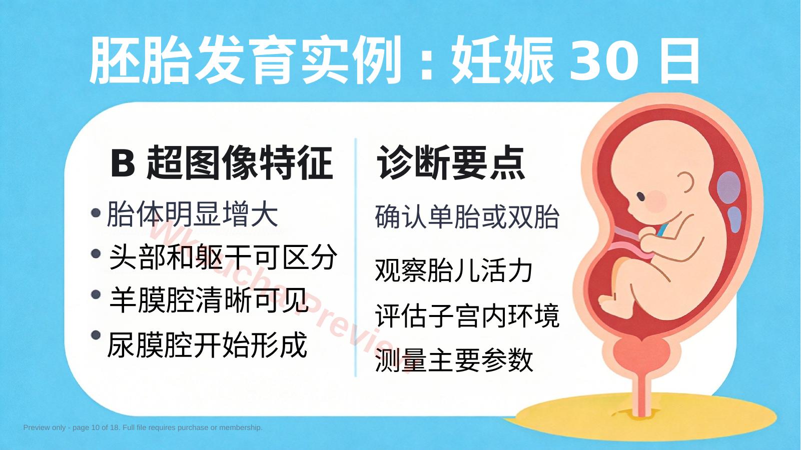 预览第 10 页