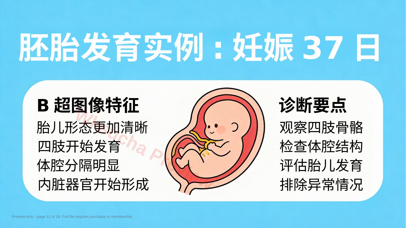 预览第 11 页