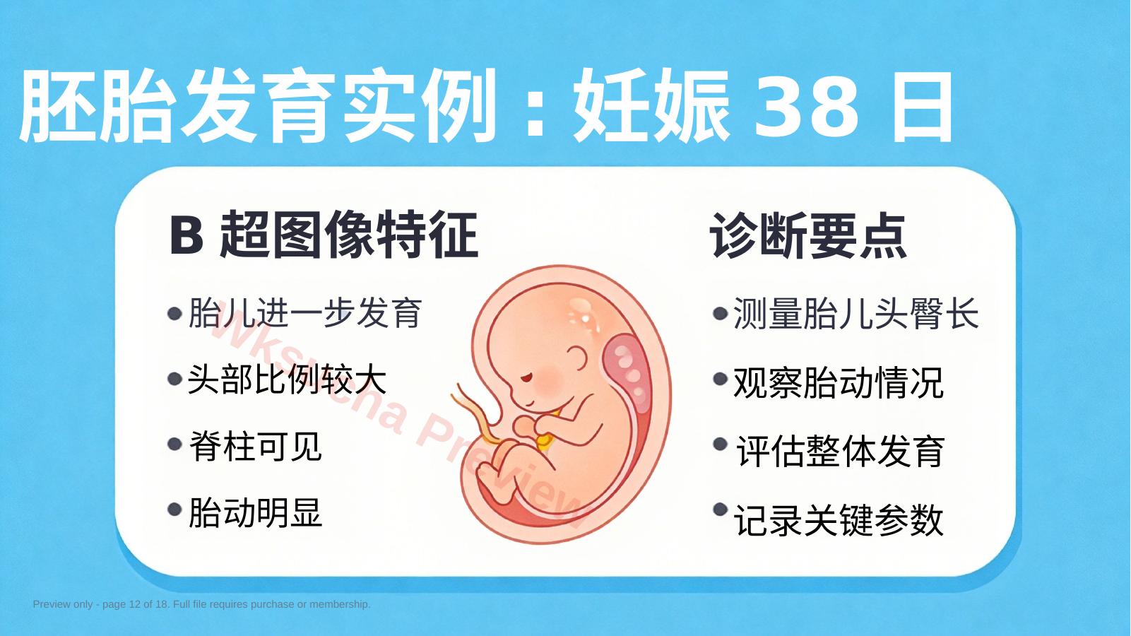 预览第 12 页