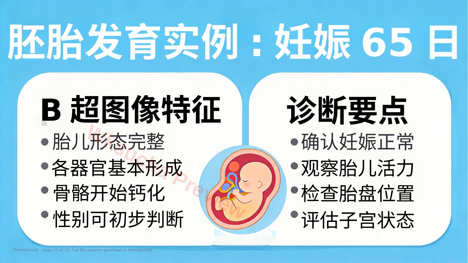 预览第 13 页
