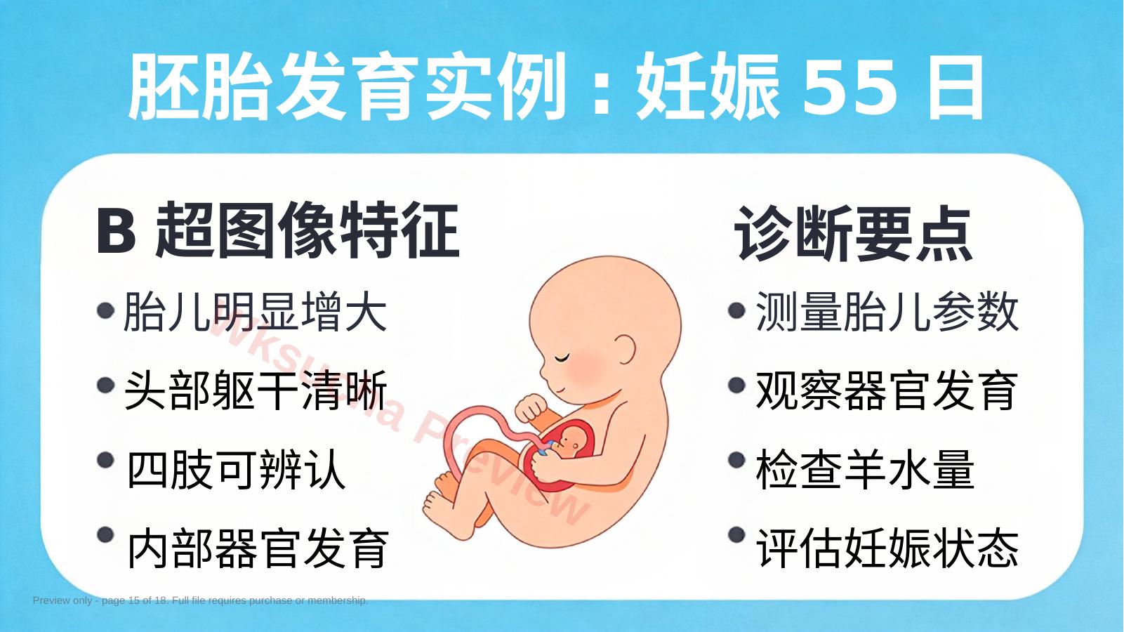 预览第 15 页