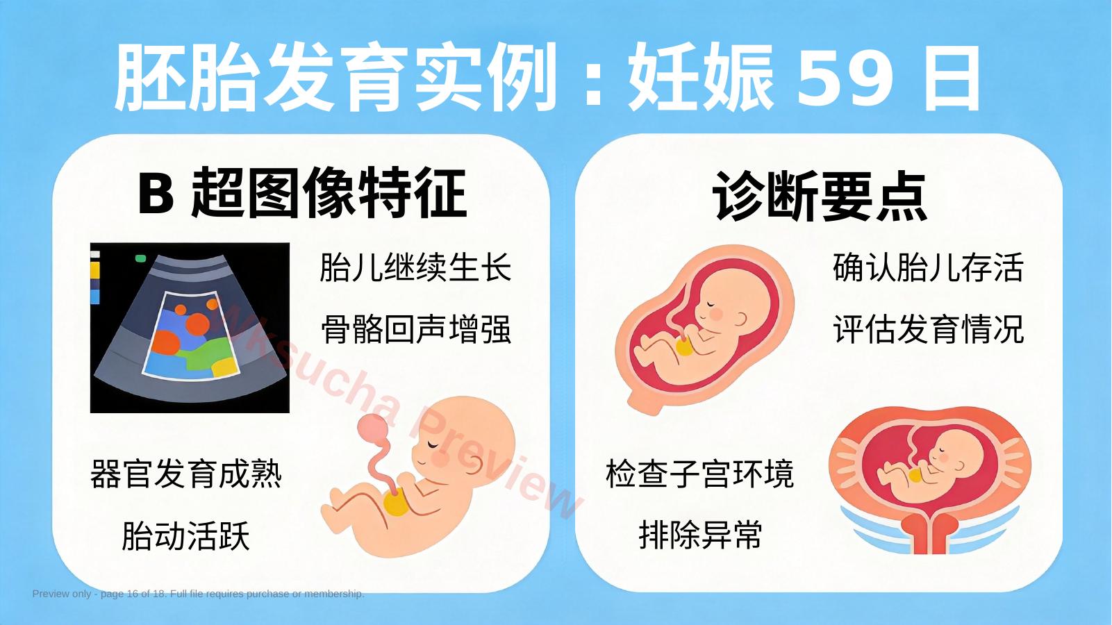 预览第 16 页