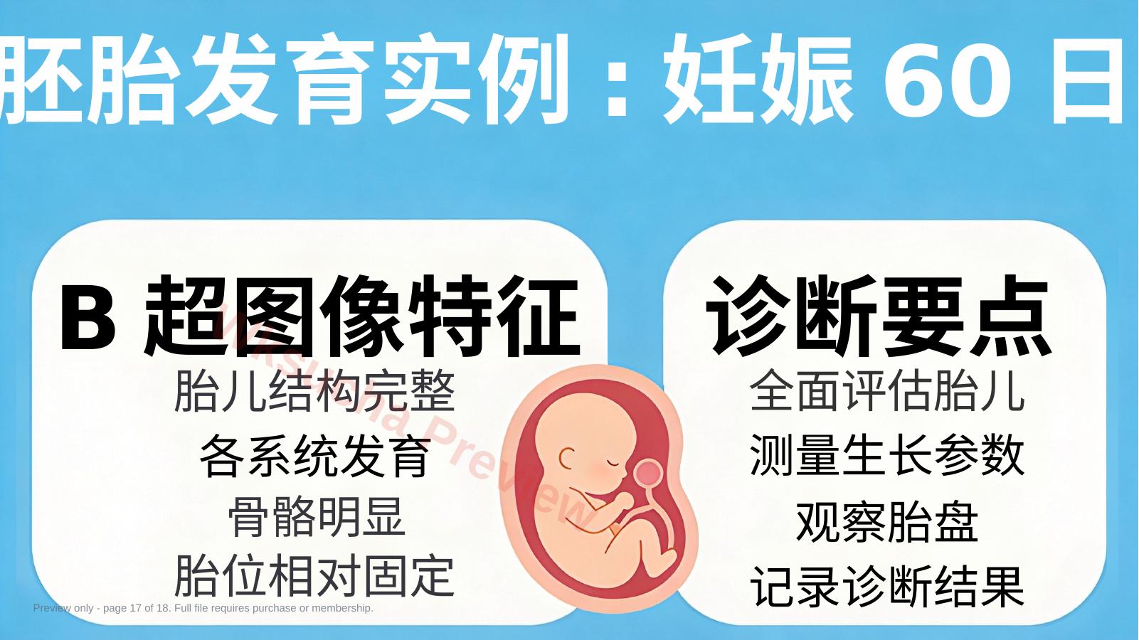 预览第 17 页