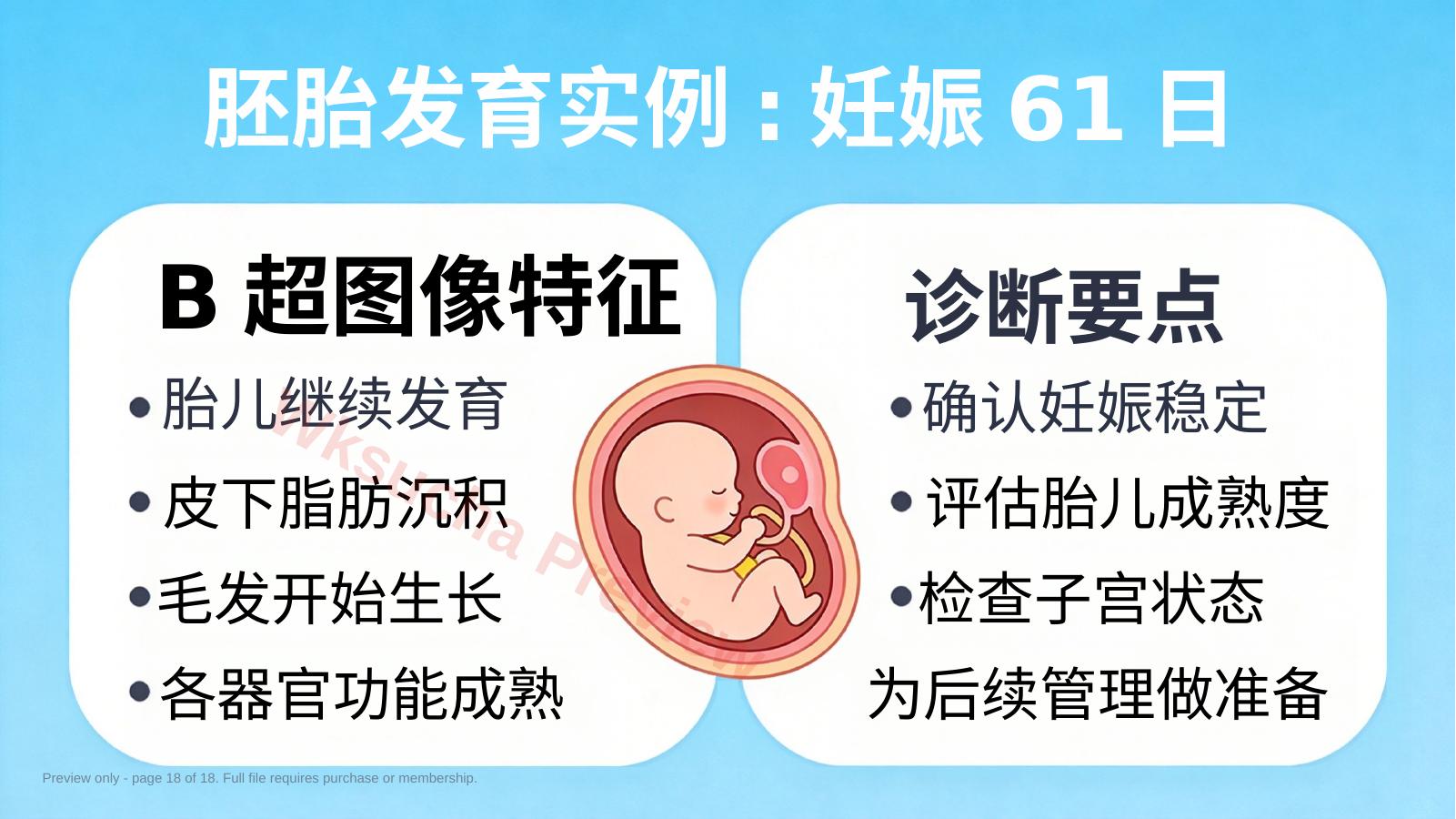 预览第 18 页