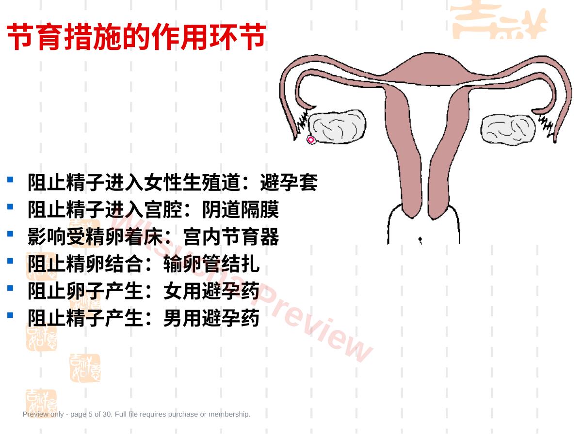 预览第 5 页