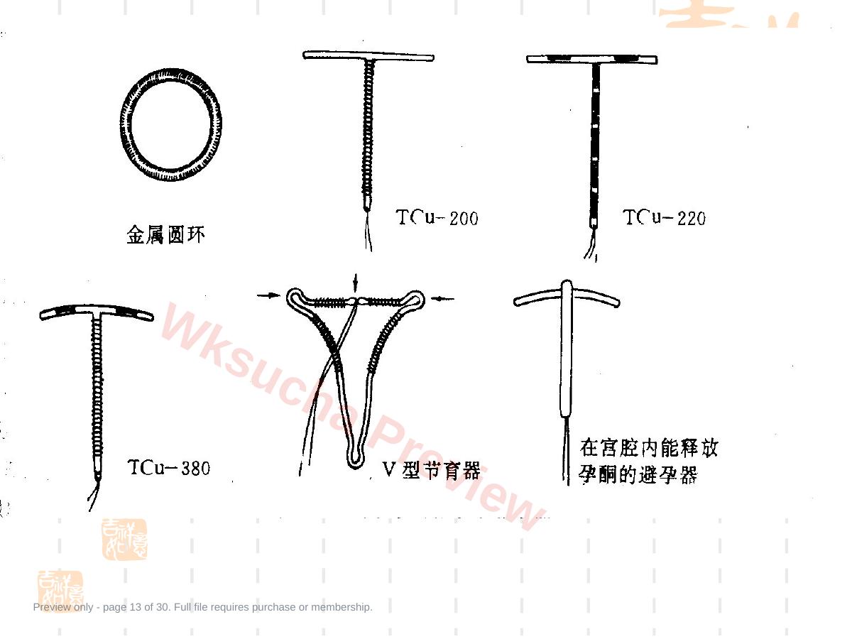 预览第 13 页