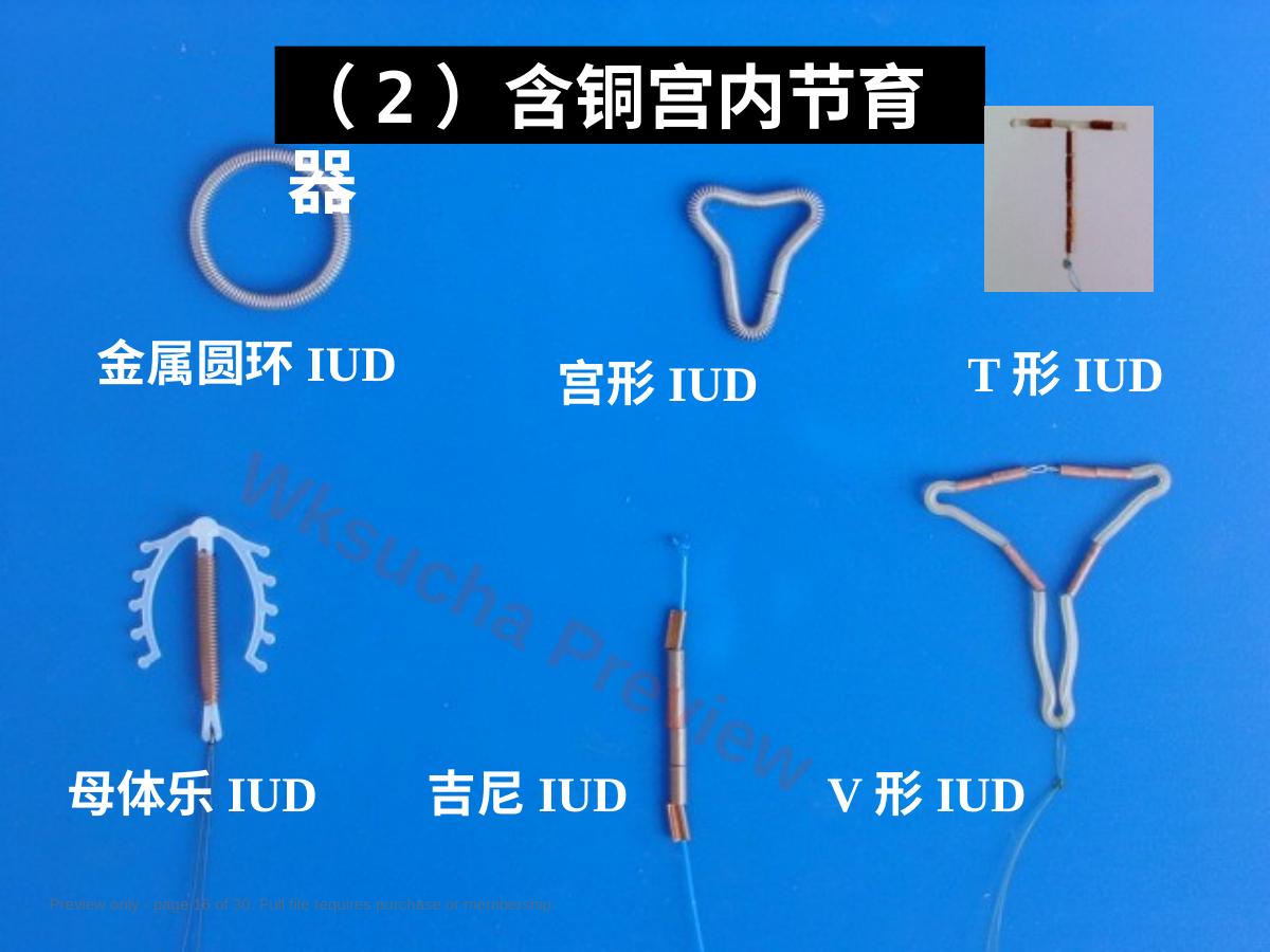 预览第 16 页