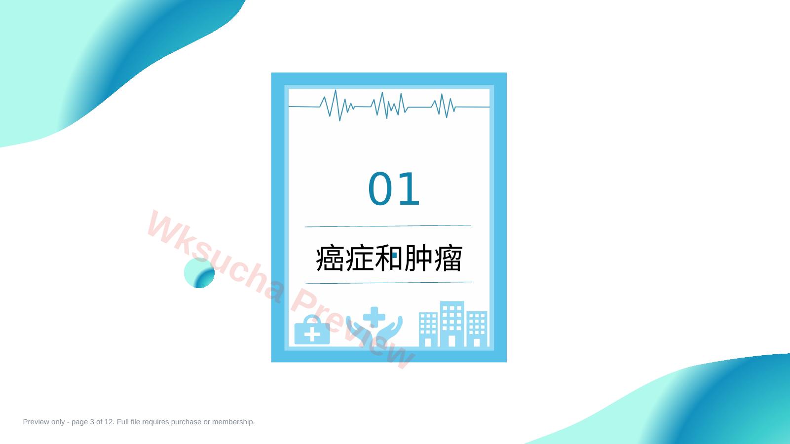 预览第 3 页