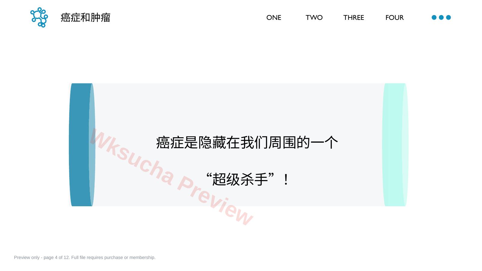 预览第 4 页