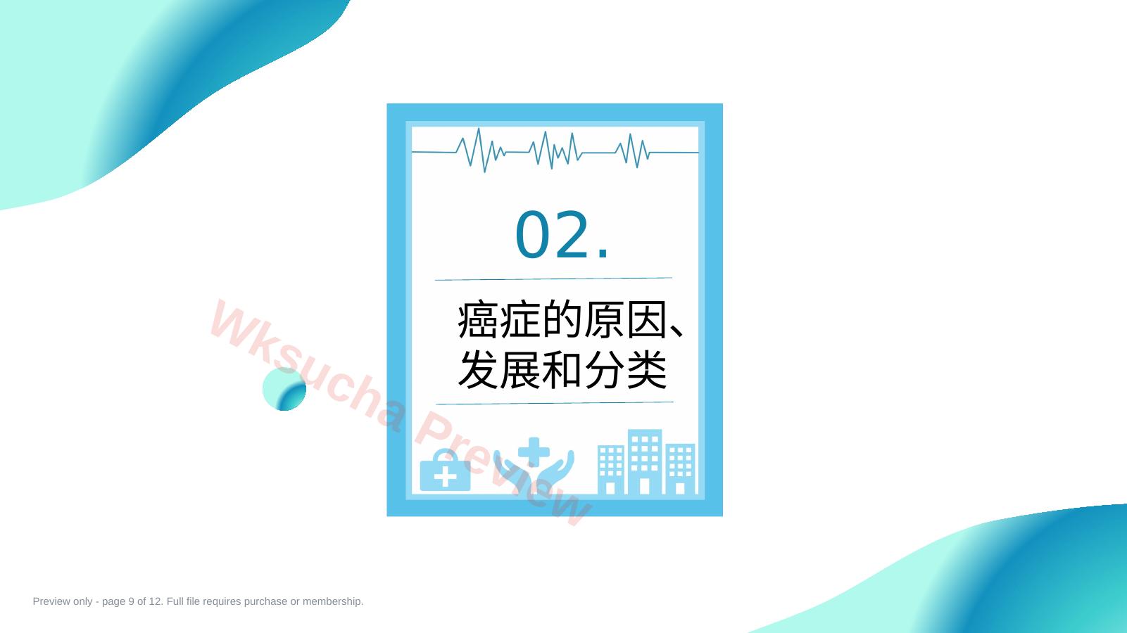 预览第 9 页