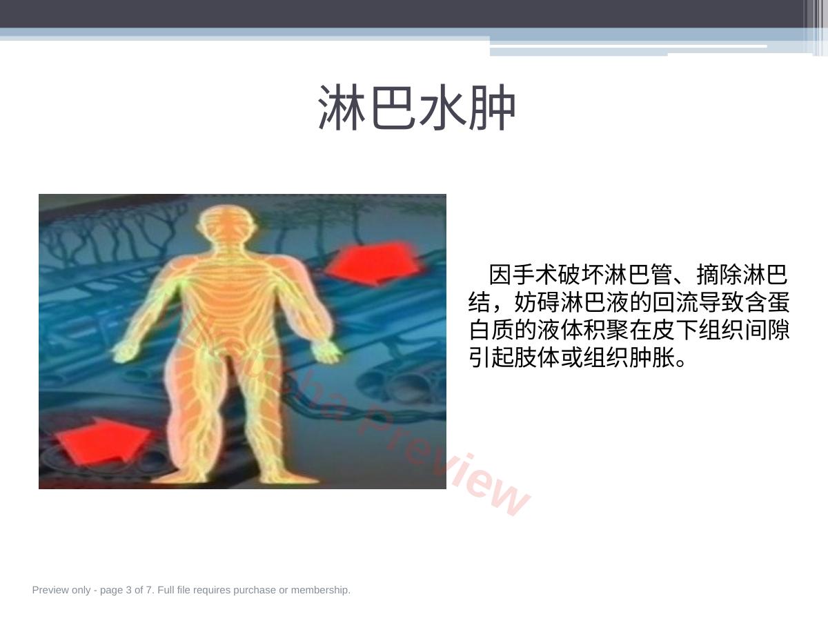 预览第 3 页