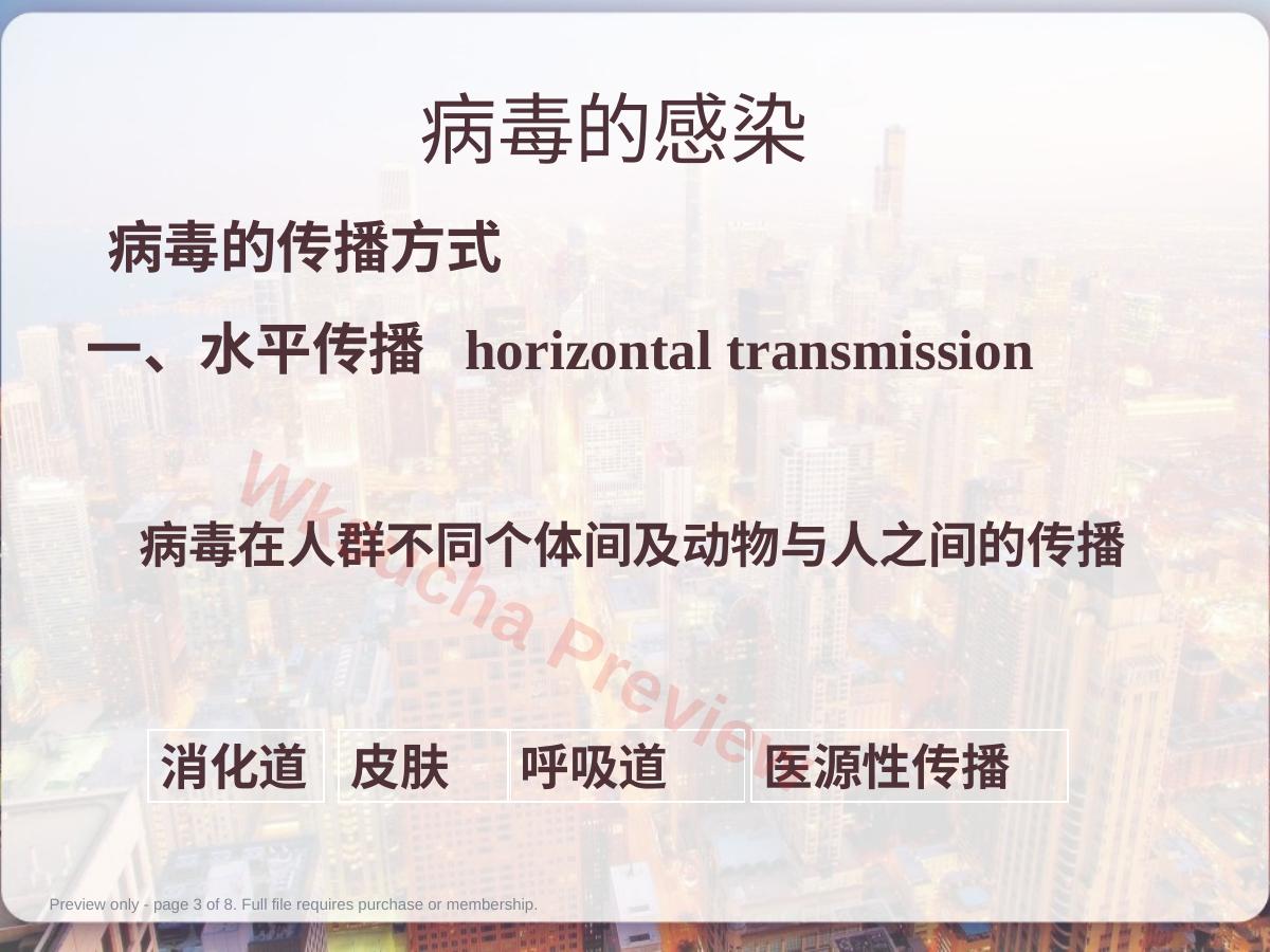 预览第 3 页