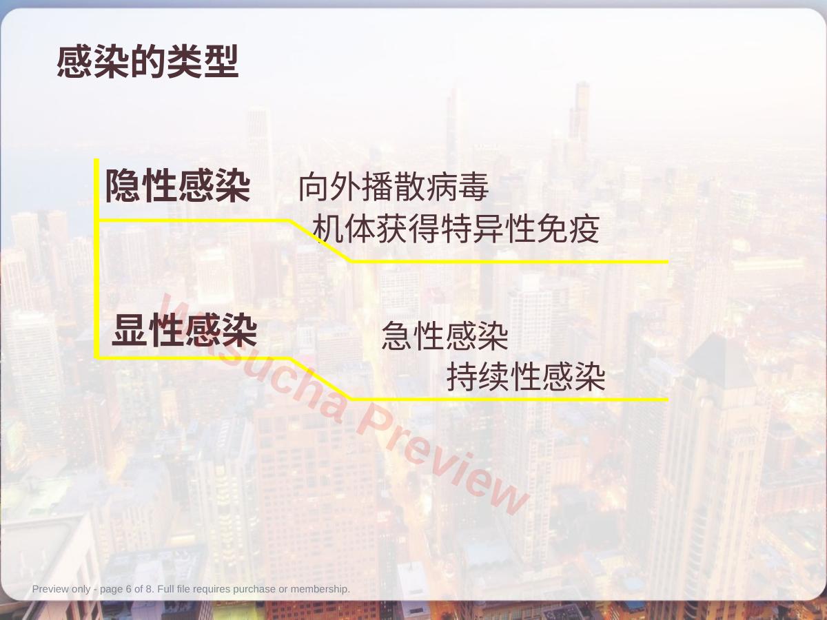 预览第 6 页
