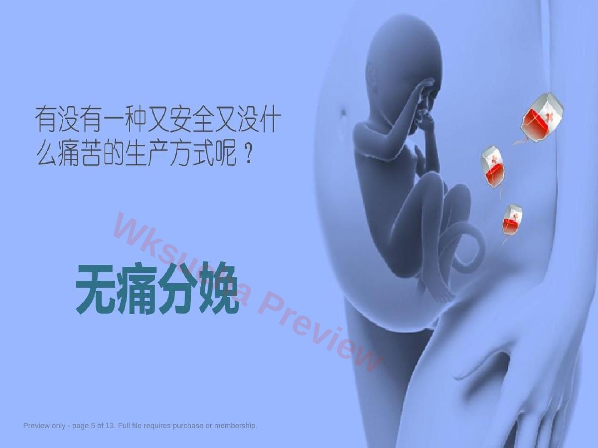 预览第 5 页